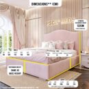 2024-25 Duchess of La Rosa Bed