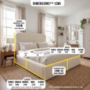 hawaii-dimensions-cream