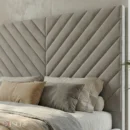 Silver-Fern-Close-Up