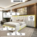 model-teddy-pscl-dimensions